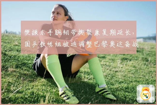 樊振东手腕韧带撕裂康复期延长，国乒教练组被迫调整巴黎奥运备战计划