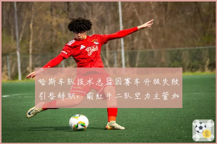 哈斯车队技术总监因赛车升级失败引咎辞职，前红牛二队空力主管加盟