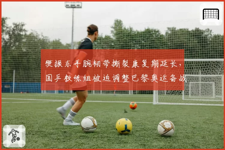 樊振东手腕韧带撕裂康复期延长，国乒教练组被迫调整巴黎奥运备战计划